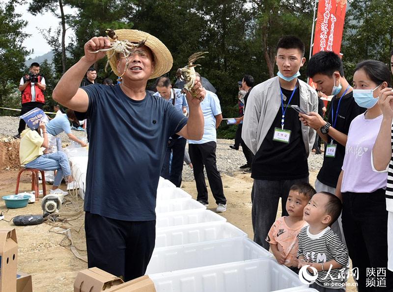 漢陰縣平梁鎮(zhèn)清河村村民胡小平推介大閘蟹。