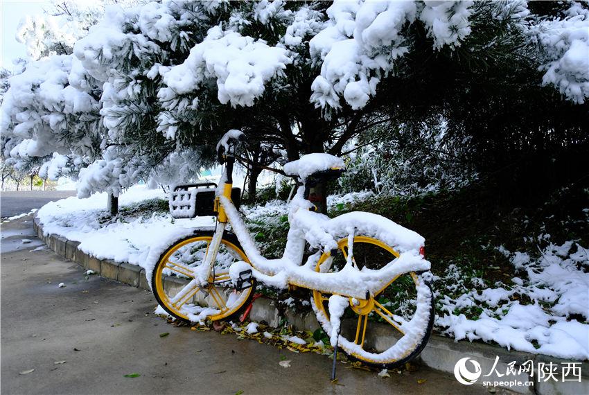 11月6日晚，古城西安迎來2021年第一場雪。吳超攝