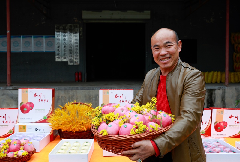 果農(nóng)在展示蘋果。王警攝