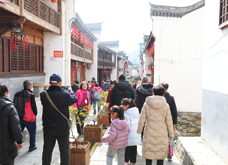 旅客們開啟探尋鎮(zhèn)安的春之旅。敬雨橋攝