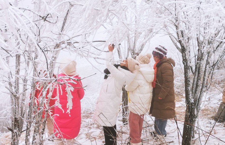 旅客們在秦嶺賞雪，游玩，拍照留念。呂春輝攝