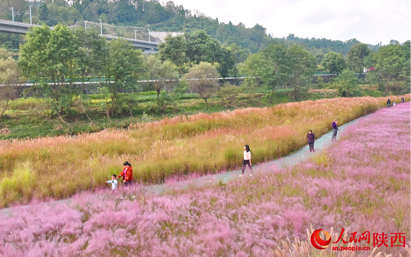 在漢江源頭玉帶河畔濕地公園游玩的游客。人民網(wǎng)記者 白鴿攝