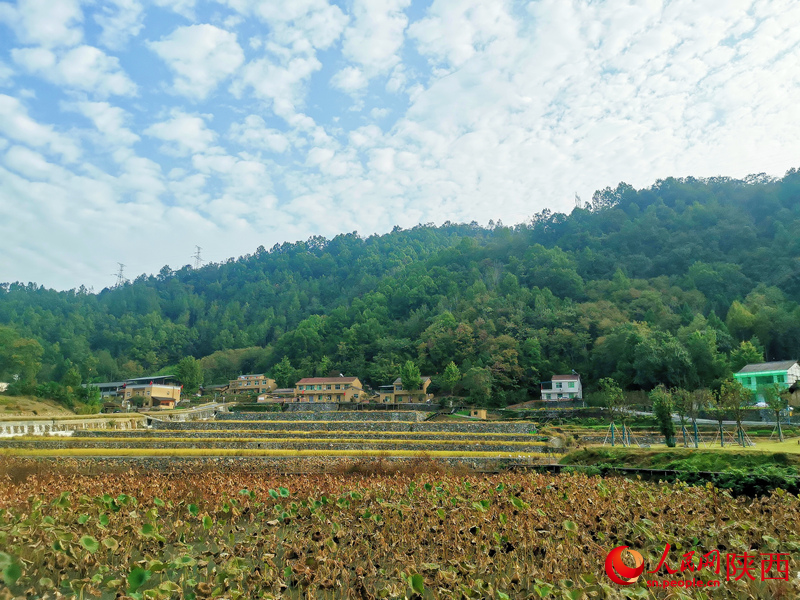 安康草池灣濕地。人民網 王麗攝